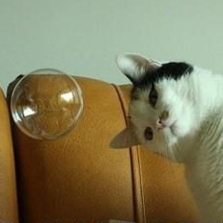 Github Xuqifzz Remove B Tail B - Classic HD Minimal Wallpapers | Free Download