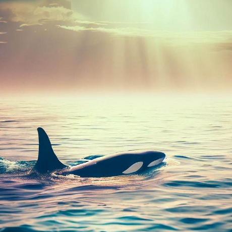 Gl Kageyama Gl Kageyama Github