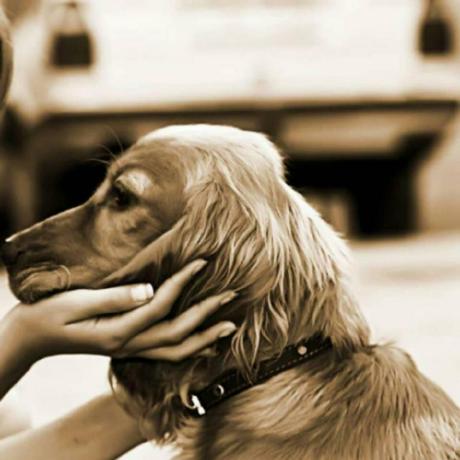 Gaolei Github - Minimal Textures - Ultra HD Full HD Collection