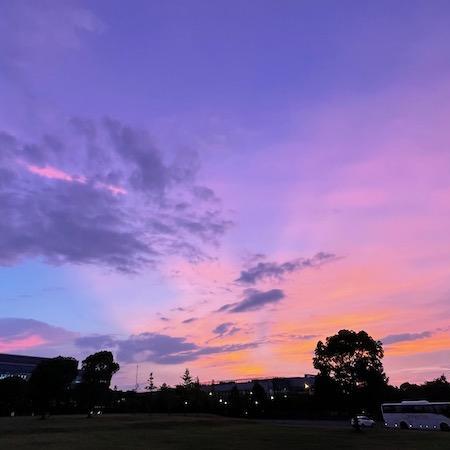 Robertfrankzhang Robert Zhang Github - Incredible Nature Texture - 8K