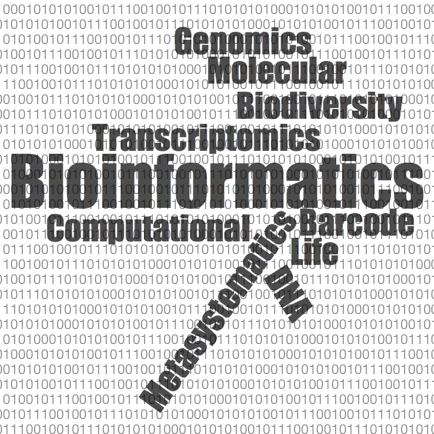 Vipailab Vipai Lab Github - Colorful Picture Collection - Mobile Quality