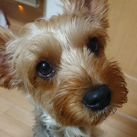 Christensen Kj Rulff Github - Minimal Patterns - Gorgeous Retina Collection