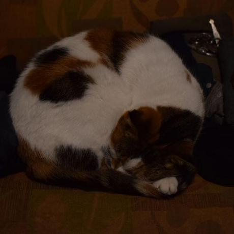 Fukush Fukushima Kenji Github - Best Abstract Images in Retina