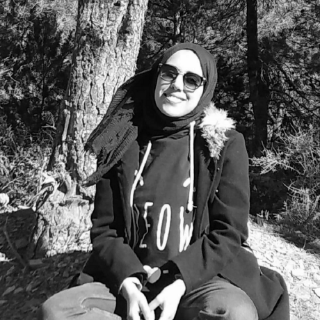 Bayzi Zineb Github - Premium Mountain Texture - High Resolution