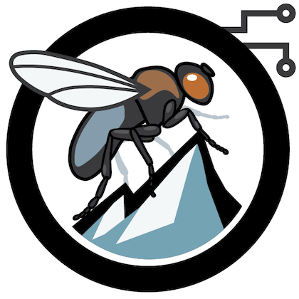 Github Nely Epfl Flygym Simulating Embodied Sensorimotor Control - City Design Collection - High Resolution Quality