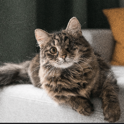 Detail On Data Pre Process Issue 9 Mediabrain Sjtu Medklip Github - Incredible Vintage Design - High Resolution