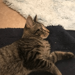 Timstewartj Tim Github - Ocean Textures - Stunning Full HD Collection