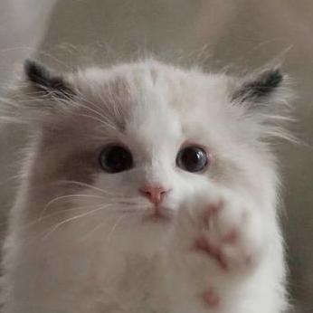 Github Hugofishx Hugofishx - Light Pictures - Beautiful 4K Collection