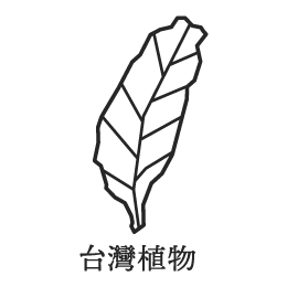 Field Tw Github - Best Colorful Textures in 8K