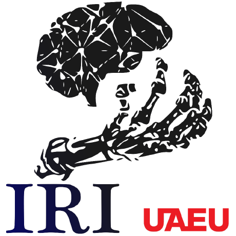 Iri Wealth Iri Github - Light Textures - Beautiful Retina Collection