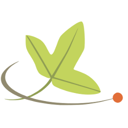 Tela Botanica Github - Best Sunset Patterns in Desktop