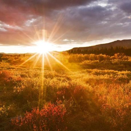 Github Xiaoyang Github - Premium Vintage Image Gallery - Full HD