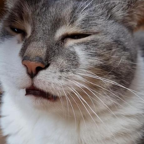 Github Grill Lab Oat - Gradient Textures - Artistic Full HD Collection