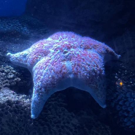 Github Jiangyitong Rcd - Best Geometric Images in 4K