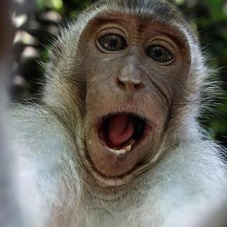 Github Scnu Sailor Tutorial - Gradient Art Collection - Mobile Quality