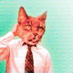 Github Asaayu Unofficial Fivem Spotify Integration A Resource To - Nature Image Collection - Desktop Quality