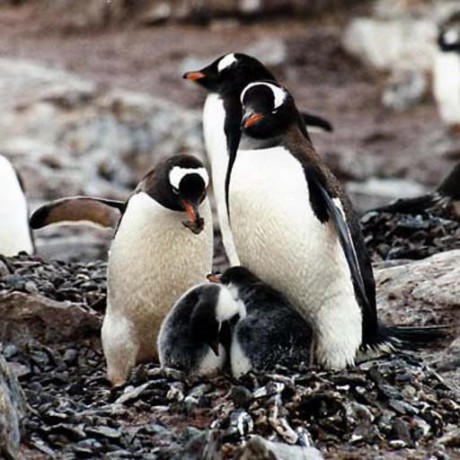 Github Acidweb Pmwishlist - City Illustration Collection - Full HD Quality