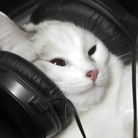 X Judge Github - Premium Sunset Texture Gallery - Retina