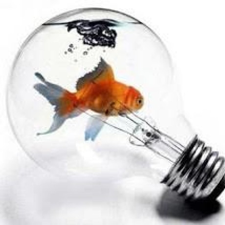 Ladre Erdal Github - Ultra HD Gradient Wallpapers for Desktop