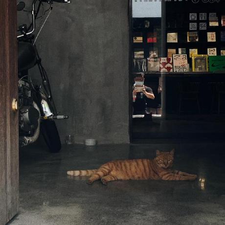 Jtpox Jian Ting Github - Beautiful 4K Vintage Illustrations | Free Download