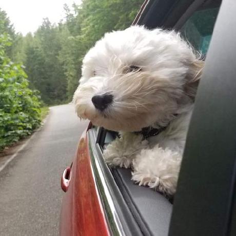 Thdot Thorsten Horstmann Github - Retina Colorful Backgrounds for Desktop