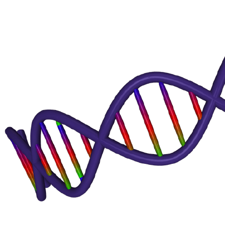 Github Janga Lab Penguin Penguin A Tool For Predicting - Incredible Abstract Image - Desktop