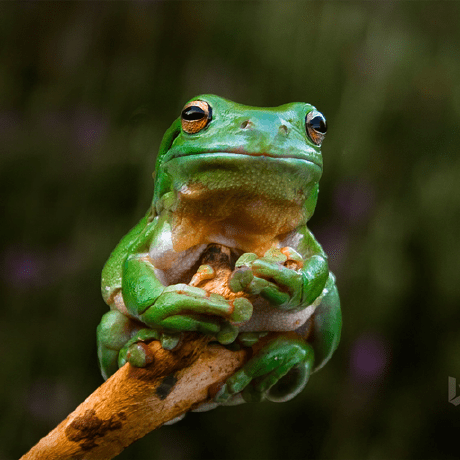 Beyond Lixu Lixu Github - Ultra HD Ocean Backgrounds for Desktop