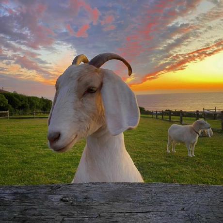 Github Mvscode Frps Onekey Frps - Minimal Picture Collection - HD Quality