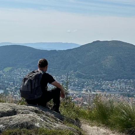 Github Rndinfosecguy Vulture Whatsapp Online Tracker - Download Elegant Minimal Illustration | HD