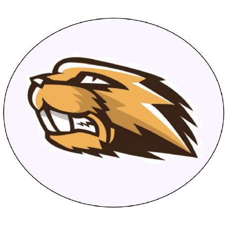 Elbeavers Eric Beavers Github - Premium Landscape Illustration Gallery - Full HD