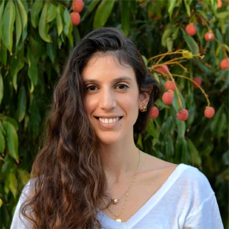 Idr Code Preprocess Preprocess Cameras Py At Main Lioryariv Idr Github - Best Abstract Backgrounds in HD