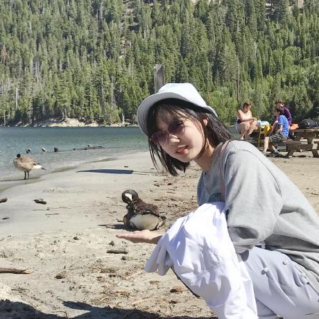 Github Xcccyy Sheji - Download Modern Dark Pattern | 8K