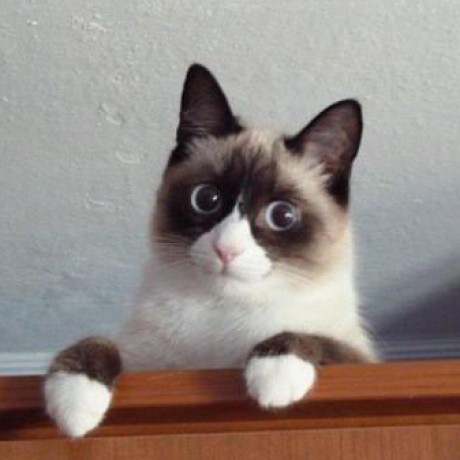 Bellowswang Yihong Wang Github - Space Illustrations - Elegant Ultra HD Collection