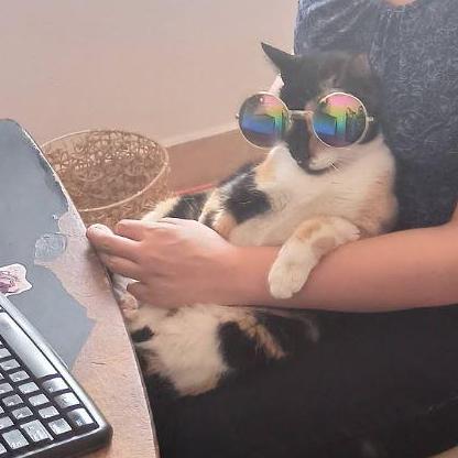 Stkrake Stefan Krake Github - Light Image Collection - Desktop Quality