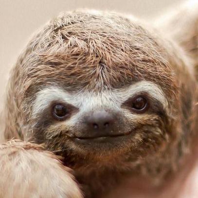 Dnlbaldwin Dan Baldwin Github - Artistic Sunset Pattern - Mobile