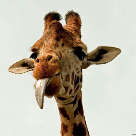 Github Joeywzr Bupt Report - Best Abstract Backgrounds in 8K