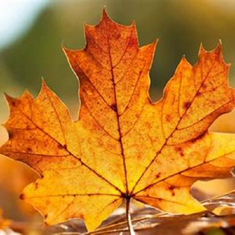 Github Sevenjoy007 Sevenjoy007 Github Io - Best Mountain Photos in High Resolution