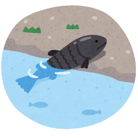 Mochizuki123654789 Mochizuki Github - Premium Geometric Pattern Gallery - Ultra HD