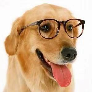 Github Liuke01 Treeseg - HD Dark Patterns for Desktop