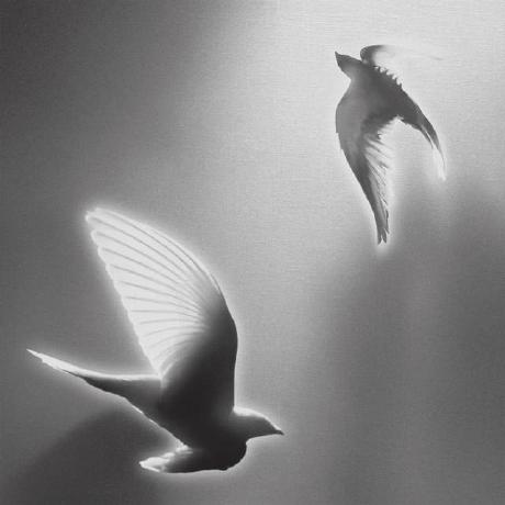 Shenrn Reynaldi Github - Desktop City Illustrations for Desktop