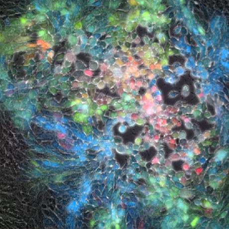 Tnadeau Tom Nadeau Github - Artistic 8K Geometric Patterns | Free Download