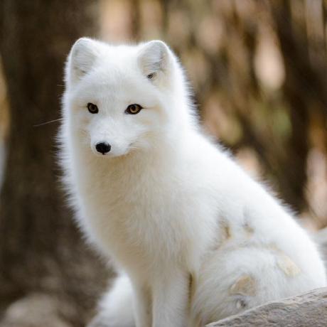 Codebeaulieu Dan Beaulieu Github - Space Textures - Professional 4K Collection