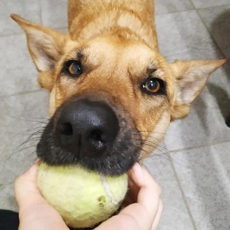 Github Melanie Galvan Proyectoespana - City Design Collection - 8K Quality