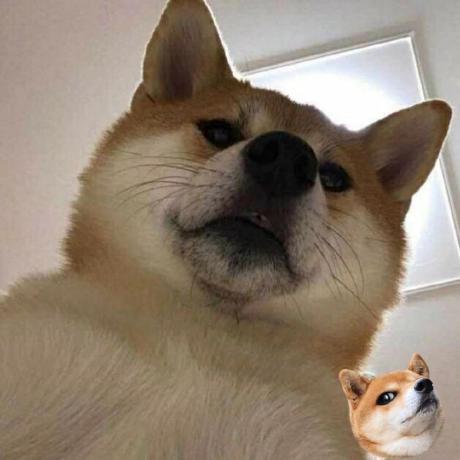 Minecraft Zds Github - Best Abstract Pictures in Full HD