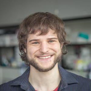 Roman Zanotelli Github - City Art Collection - Full HD Quality