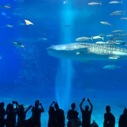 Dongumayagay Don Github - Ultra HD Landscape Illustrations for Desktop