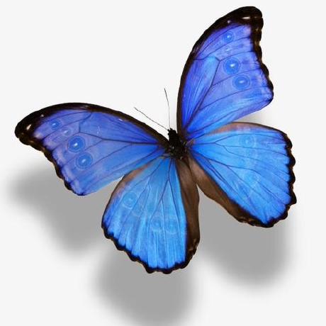 T Antunes Github - 4K Abstract Wallpapers for Desktop