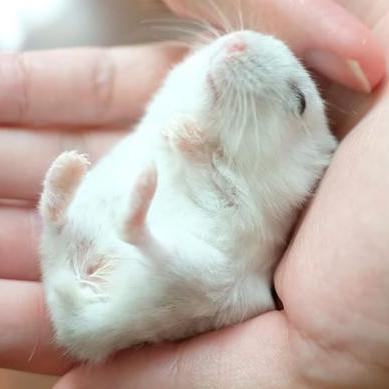 Alfred2210 Alfred Github - Premium Minimal Art Gallery - Full HD