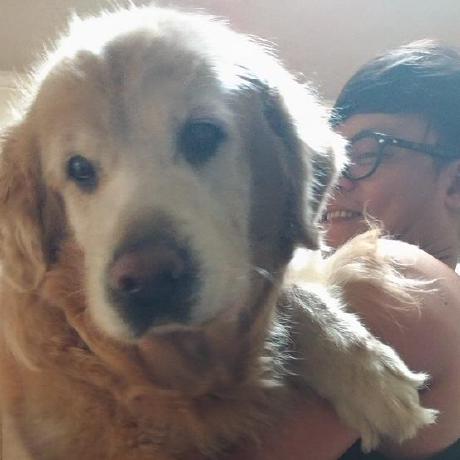 Hermi Stefan Hermes Github - Nature Background Collection - HD Quality