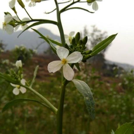 Download Data Py Issue 5 Lewin671 Yourlesson Github - High Resolution Light Images for Desktop